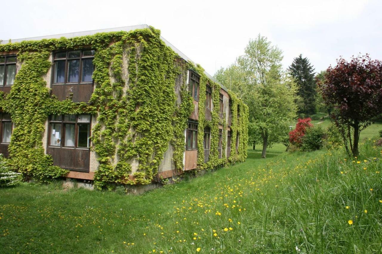 Parkblick Appartement - Entspannung pur! Ober-Hambach Bagian luar foto